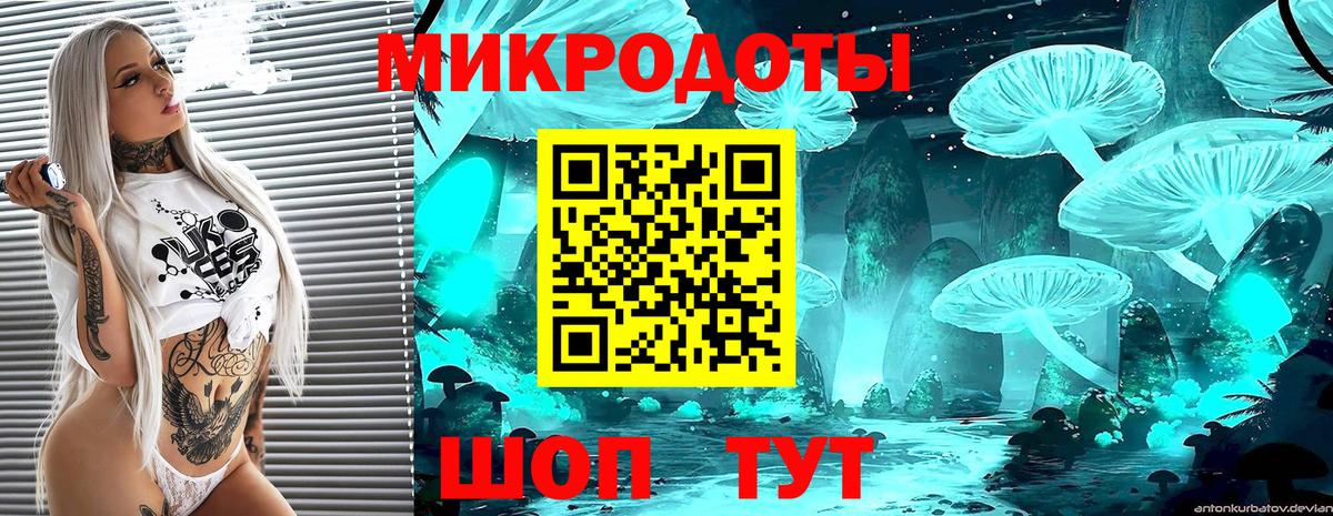 Мурманск  Псилоцибиновые грибы Psilocybe  Псилоцибиновые грибы GOLDEN TEACHER  Вход с VPN 