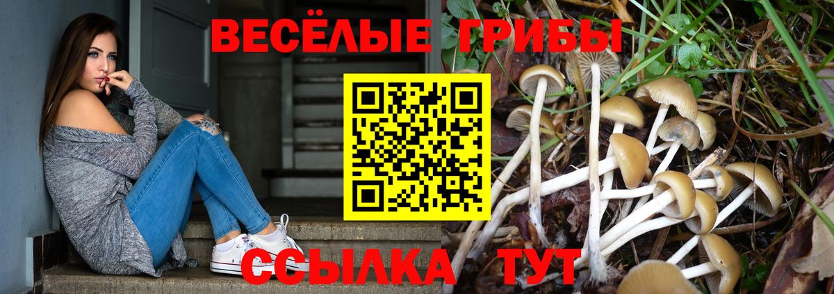 Псилоцибиновые грибы мицелий Мурманск